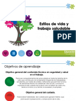 Presentacion Estilos de Vida Saludable PDF