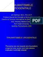 Trauma Urogenitala