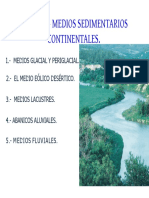 (14C)TEMA -Sist-fluvial.pdf
