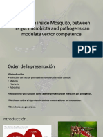 PPT microbiota mosquitoes..pptx