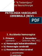 PATOLOGIA_VASCU.pdf