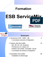 Formation: Esb Servicemix