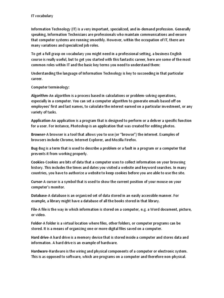 Information Technology Vocabulary | PDF | Programmer | Computer File