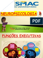 NEUROPSICOLOGIA-FUNÇÕES EXECUTIVAS Atualizado201702completo1 PDF