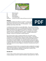 Aud CRM Base Datos Ido 2007 PDF
