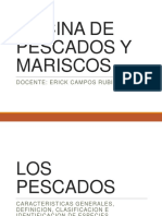 Cocina de pescados y mariscos: clasificación, características e identificación