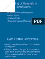 Cycling of Materials in Ecosystem