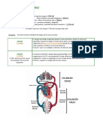 Sistema Circulatorio: Corazón Arterias Arteriolas Capilares Venas