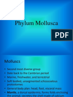 Lesson 9. Phylum Mollusca PDF