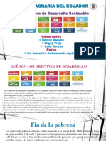 Objetivos de Desarrollo Sostenible PDF
