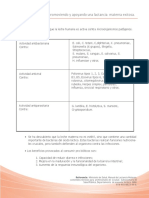 Leche Humana PDF