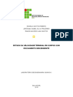 Relatório ABENÇOADOS Velocidade Terminal.pdf