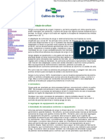 Cultivo+de+sorgo.pdf