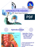 7apendicitis-aguda-1223625968681166-9.pdf