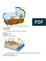 Ejercicio Ciclos Biogeoquimicos