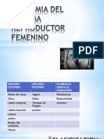 C 3 Anatomia Del Sistema Reproductor Femenino