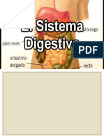 Presentación1 digestivo