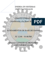 Ensayo Base de Dtaos.pdf