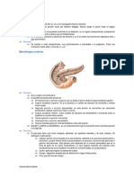 Tema52 PDF