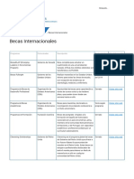 Becas Internacionales Tipos PDF