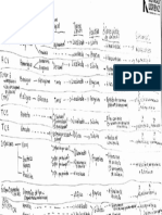 Patologia Neurologica - Cuadro.pdf