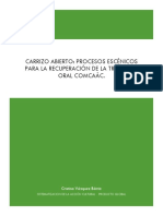 Sistematización Carrizo Abierto PDF