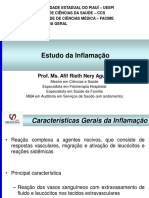 359333953-Aula-6-Estudo-Da-Inflamacao.pdf
