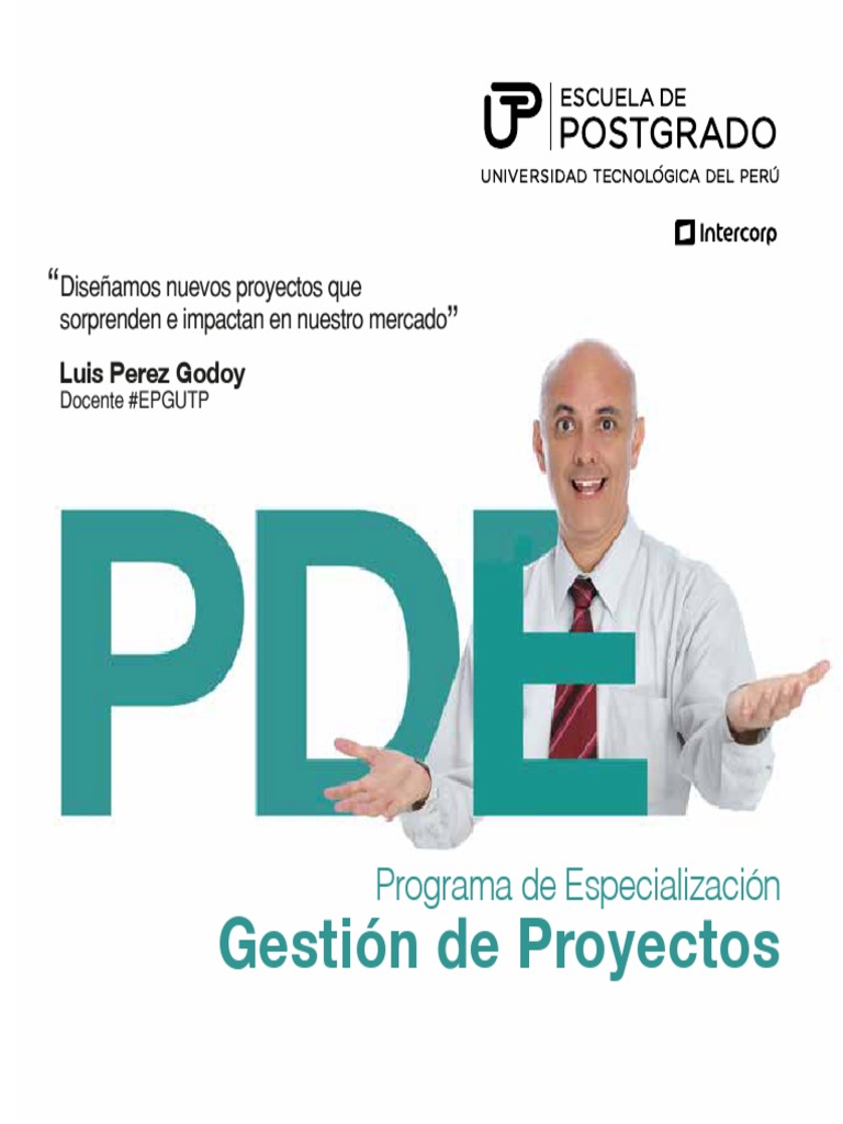 Brochure PDE Gestion de Proyectos PDF | PDF | Profesional en el manejo ...