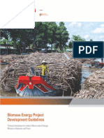 Biomass Energy Project Development Guidelines PDF
