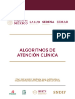 Algoritmo Leucemia PDF