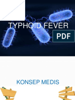 Typhoid Fever