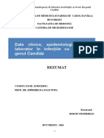 Teza Rezumat PDF