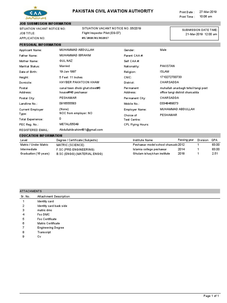 Flight Inspector Pilot Application 2019 | PDF | Aviation