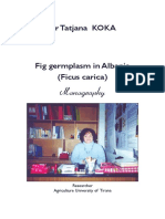 Matija111 PDF