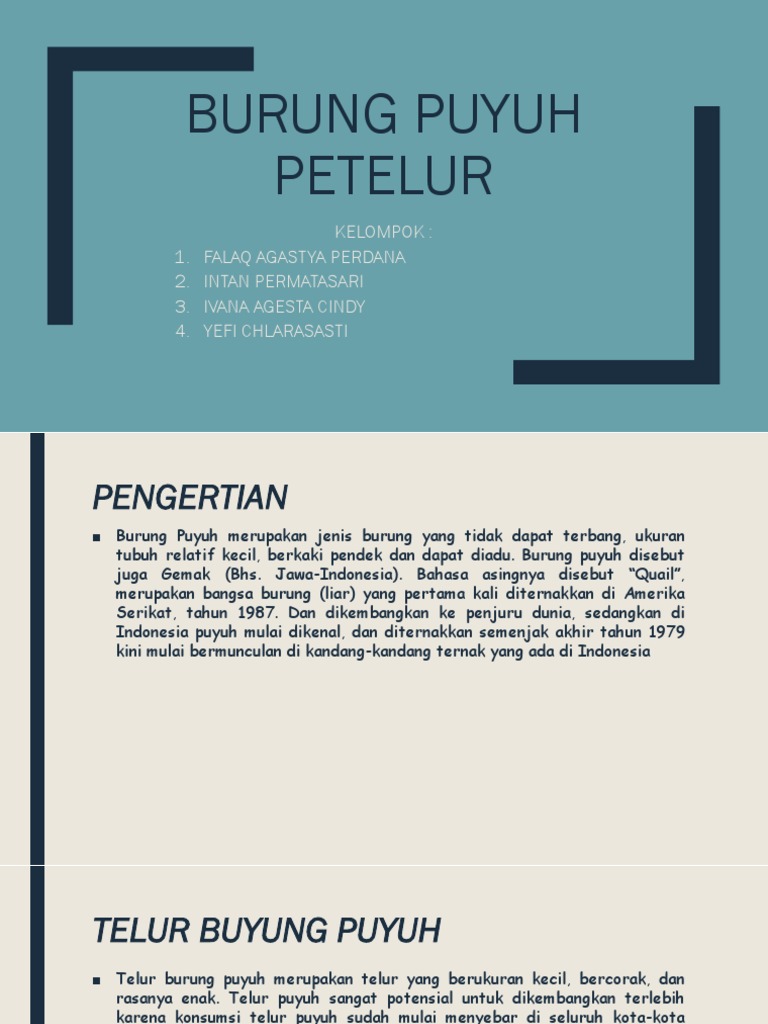 Burung Puyuh Petelur Pptx