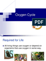 Oxygen Cycle in Environmental