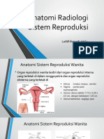 Sistem Reproduksi