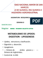 CLASE-8-LIPOGENESIS-2014.pdf