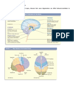 Handout Bio Perspective AbPsych