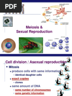 mitosis dan meiosis english.ppt