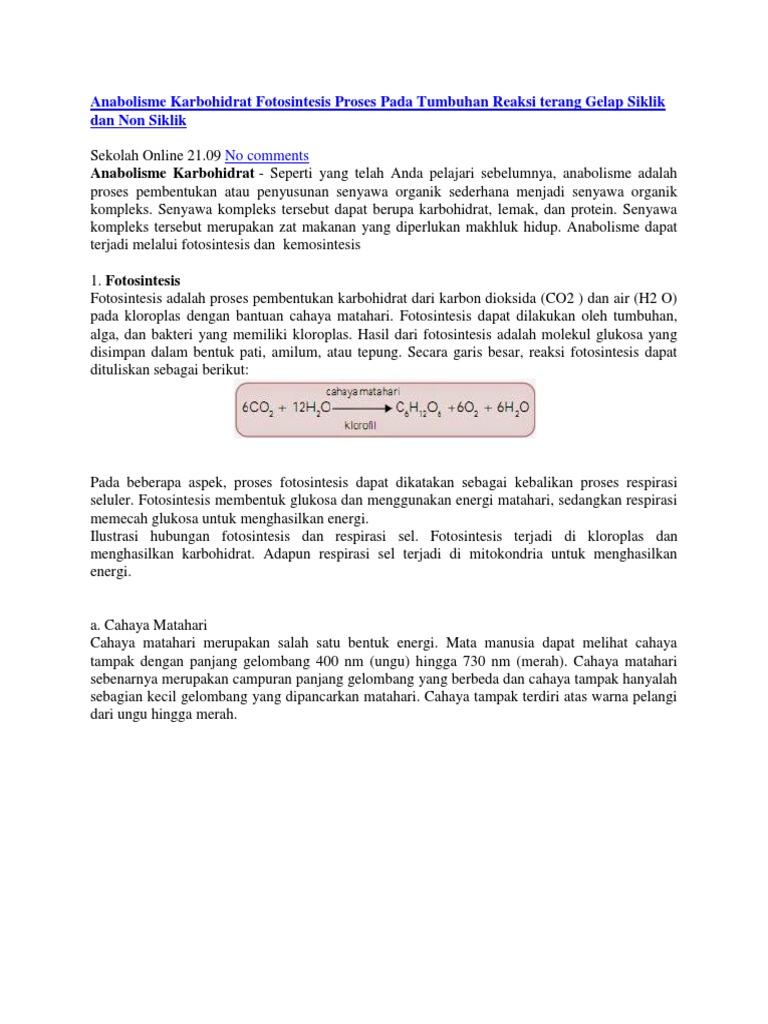 Anabolisme Karbohidrat Fotosintesis Proses Pada Tumbuhan Reaksi Terang Gelap Siklik Dan Non Siklik