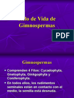 Ciclo de Vida de Los Gimnosperma