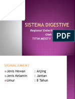 Sistema Digestive