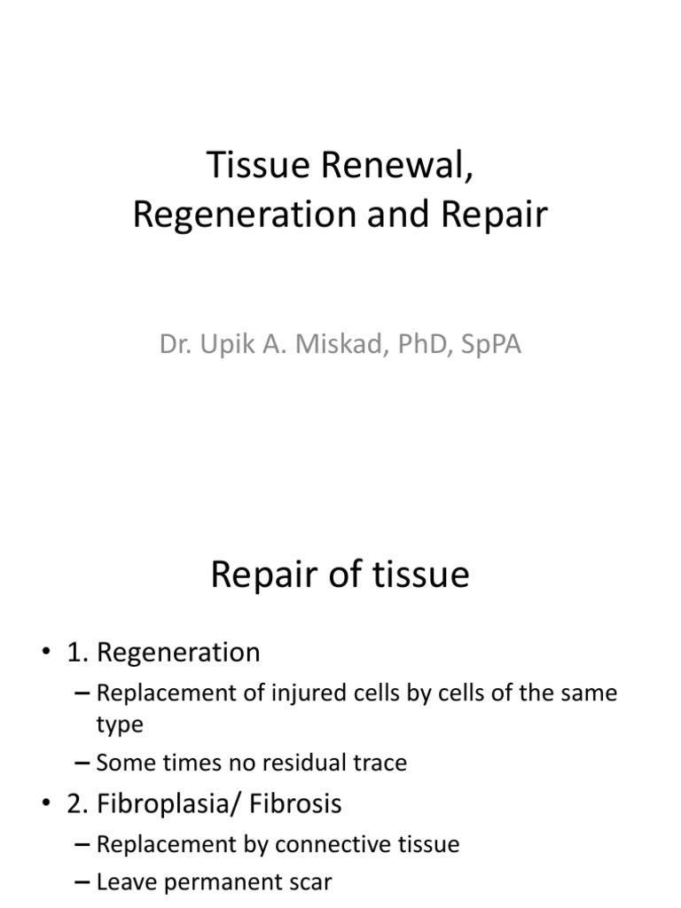 Tissue Repair and Regeneration Mechanisms | PDF | Extracellular Matrix ...