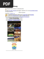 Download Kota Palembang by Ricky adhari s SN40662041 doc pdf