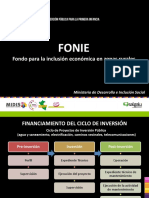 PDF FONIE Fondo Para La Inclusion Economica en Zonas Rurales