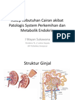 cairan-endokrin-kemih-2017.pdf