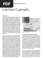 Download Cae-Dyni Cupmarks by Digital Digging SN40663622 doc pdf