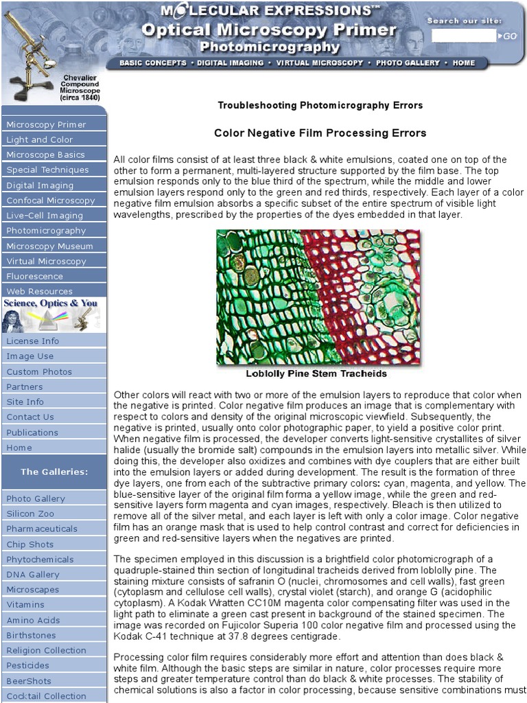 Color Negative Film Processing Errors PDF Optics Imaging