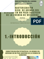 Caracterización Petrofísica de Arenas Del Neógeno en Un